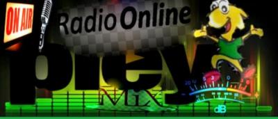 PLEYMIX RADIO